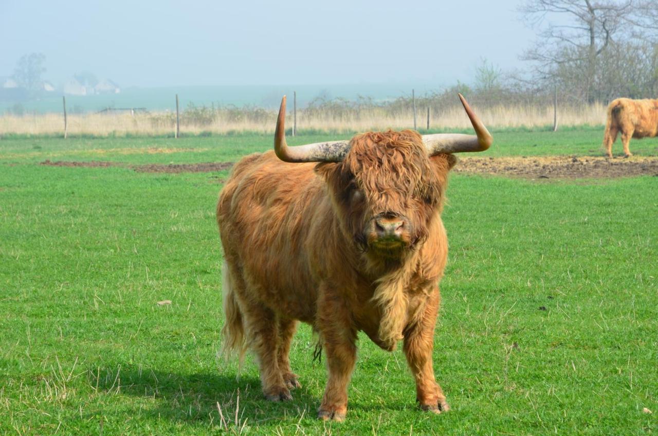 Ferienhaus Naturskoena Gamlegard Pa Oen Ven
