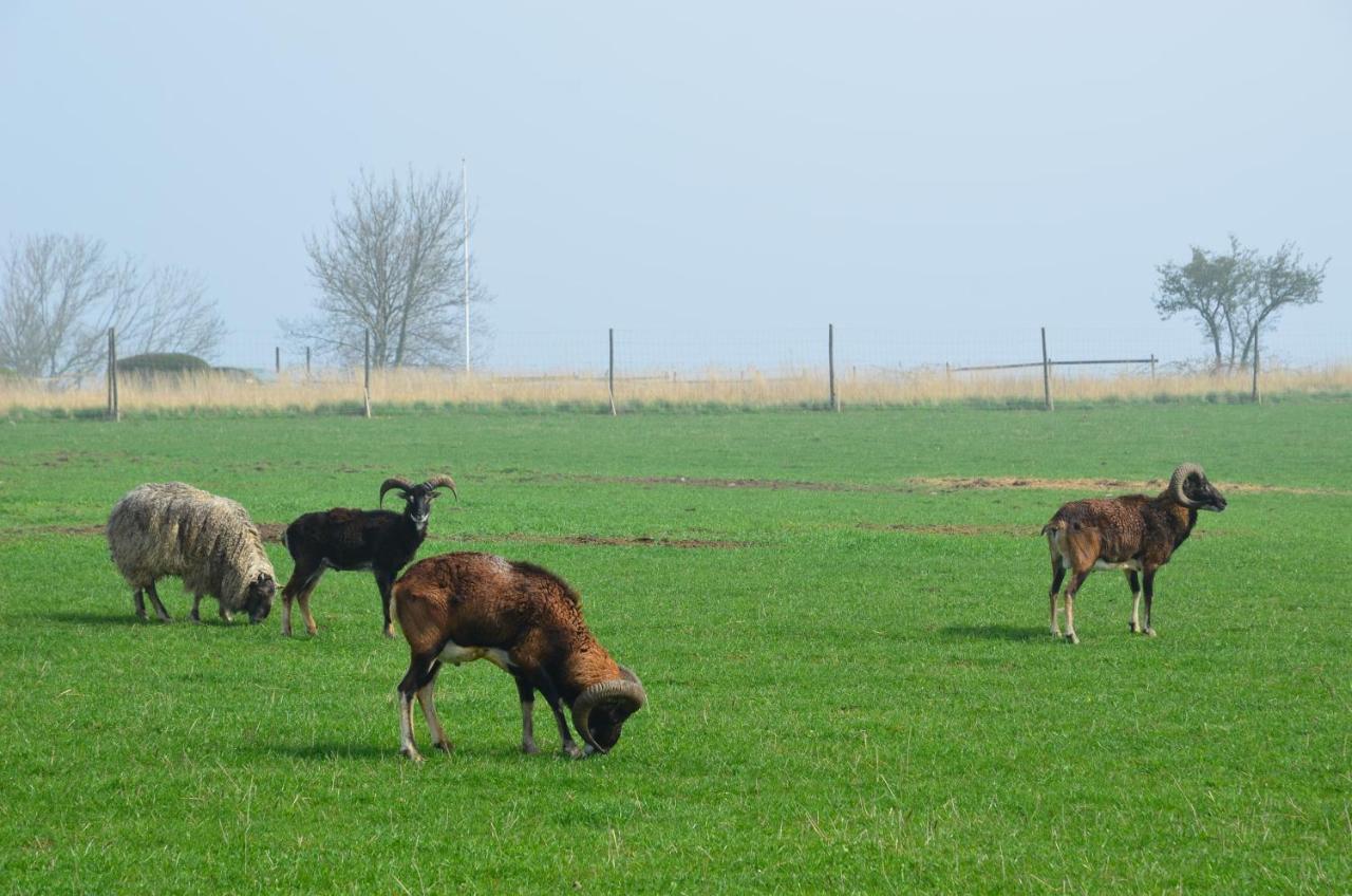 Ferienhaus Naturskoena Gamlegard Pa Oen Ven *